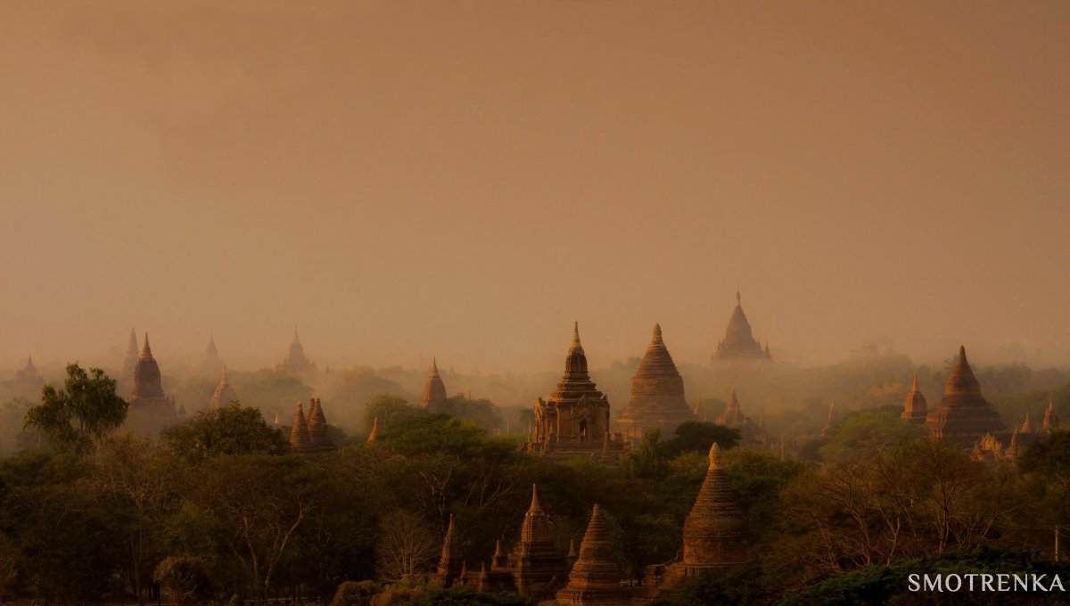 Elegant Voyages Travel Agency