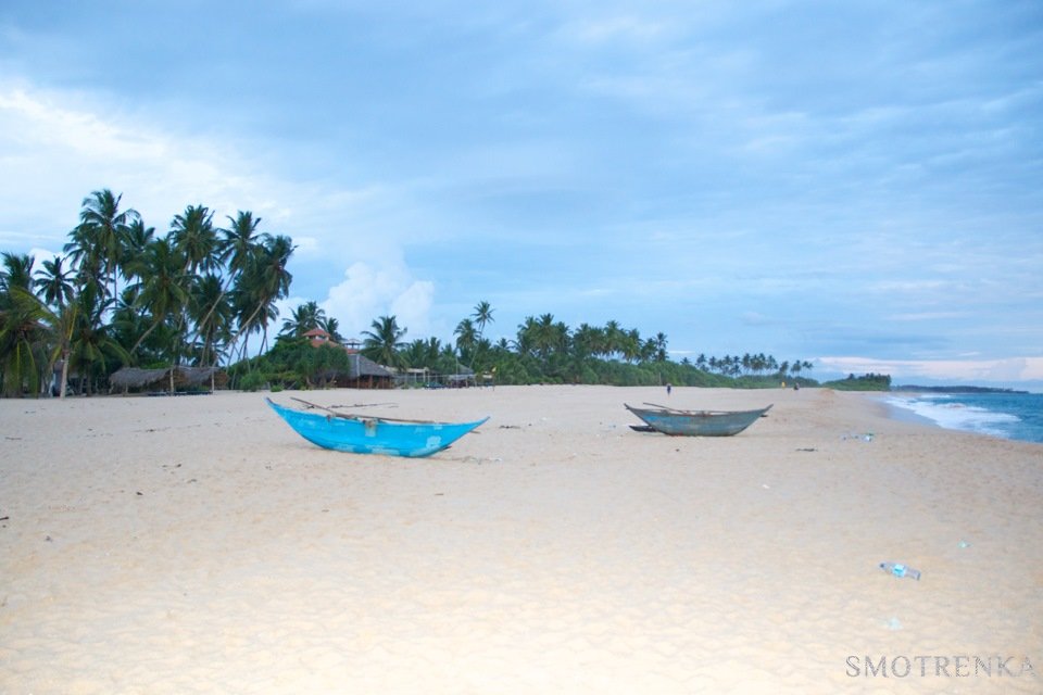 FINA TRAVEL