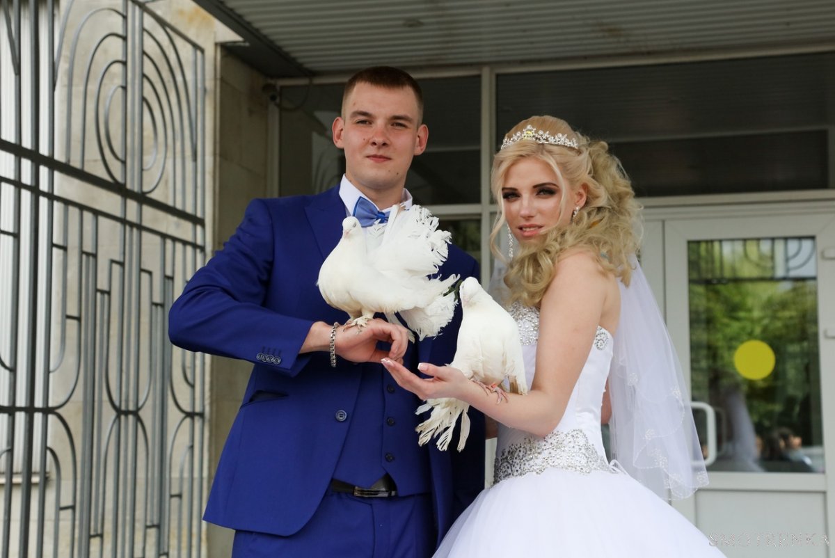 Свадебный организатор Polinella