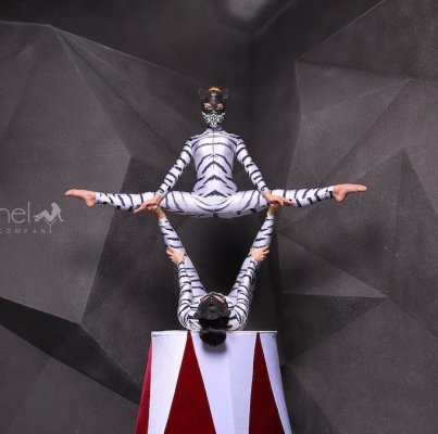 «Art-Mishel Company»