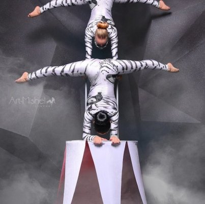 «Art-Mishel Company»