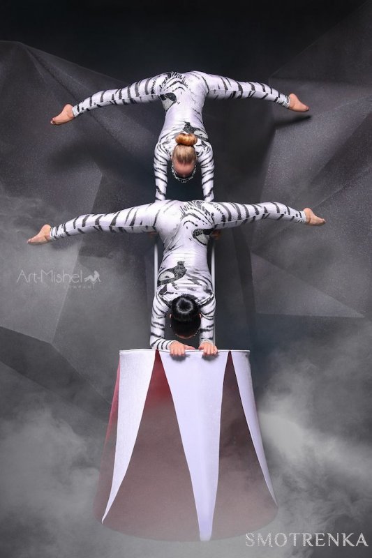 «Art-Mishel Company»