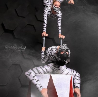 «Art-Mishel Company»
