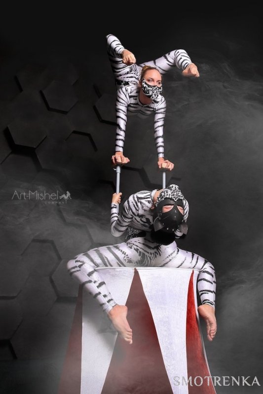 «Art-Mishel Company»