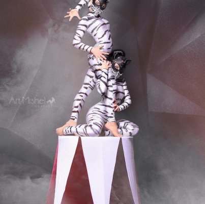 «Art-Mishel Company»