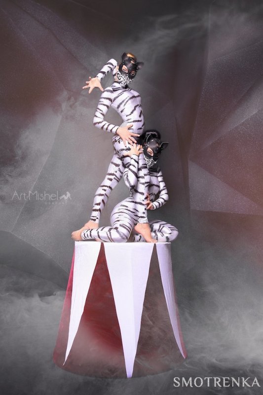 «Art-Mishel Company»