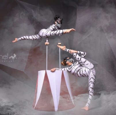 «Art-Mishel Company»
