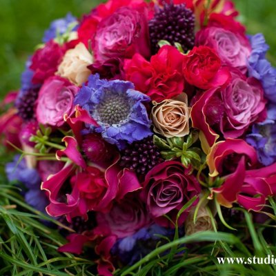 Studio-flora