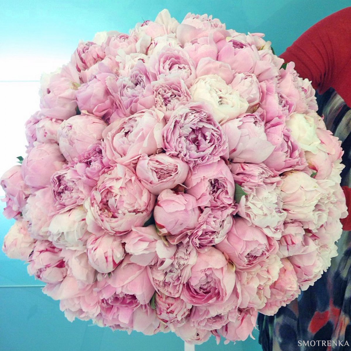 Florist Gump