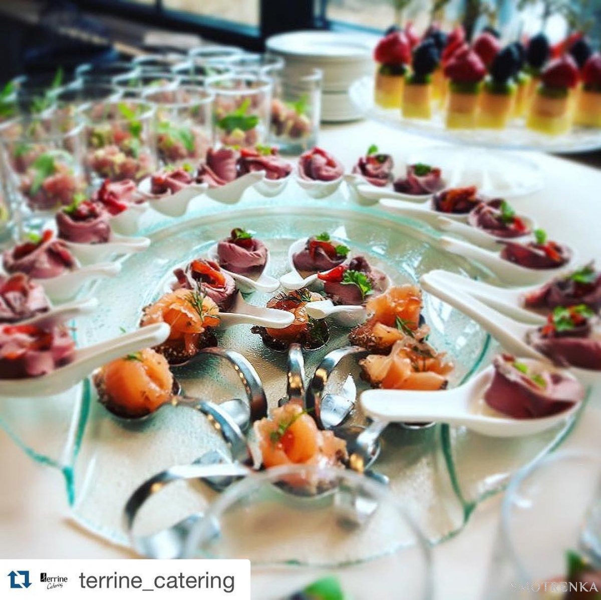 Terrine