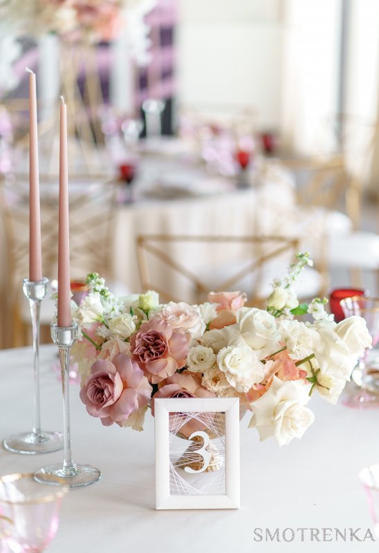 Sweet William