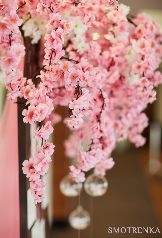 Event &amp; Decor by Inga StaRR