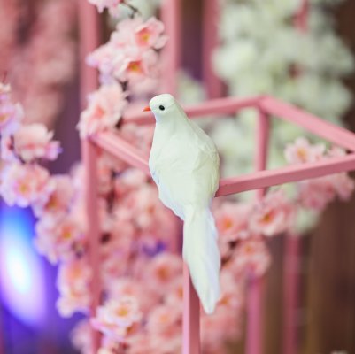 Event &amp; Decor by Inga StaRR