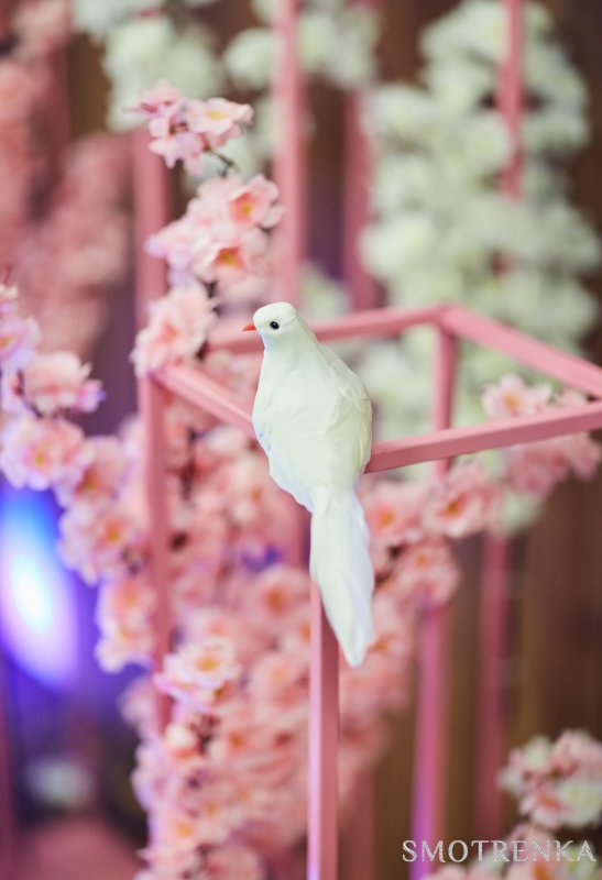 Event &amp; Decor by Inga StaRR