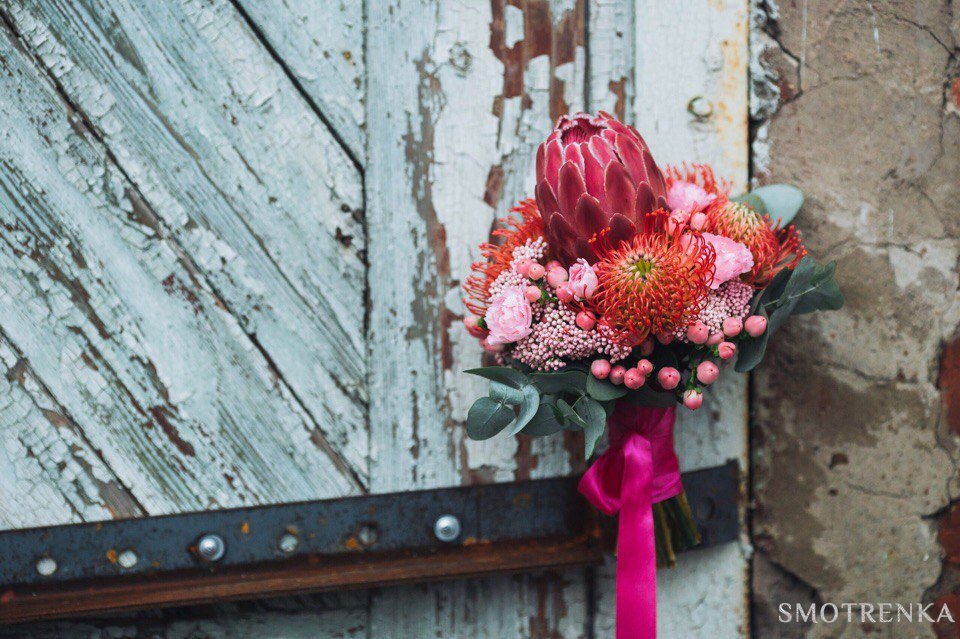 Verba Decor