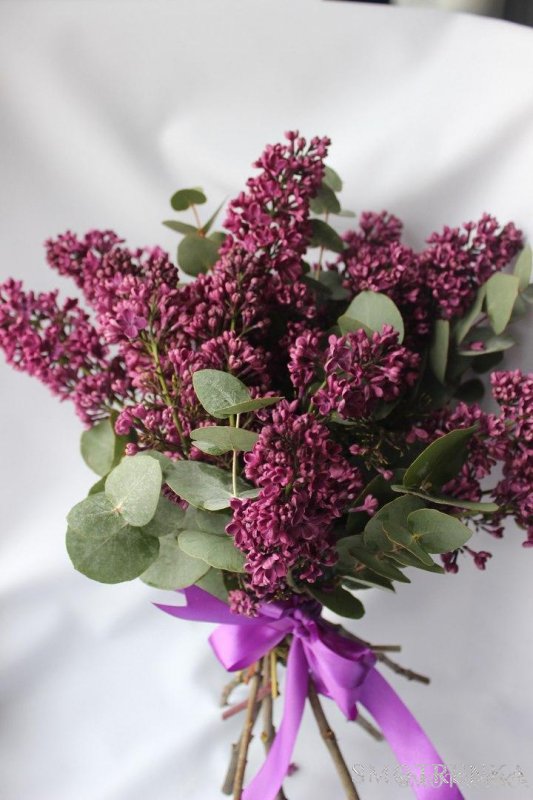 GusFlowers