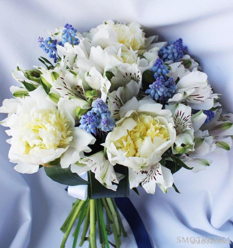 GusFlowers