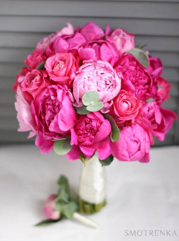 GusFlowers
