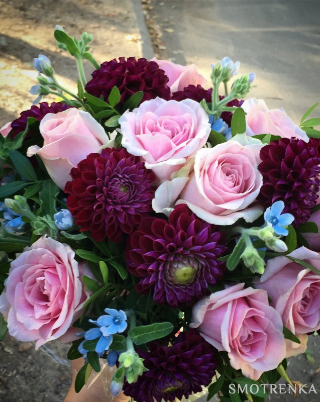 Meshel flowers