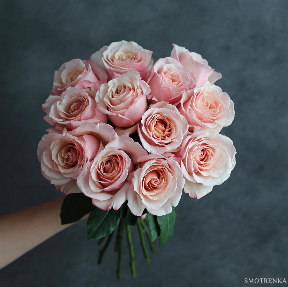 Floral Dreams