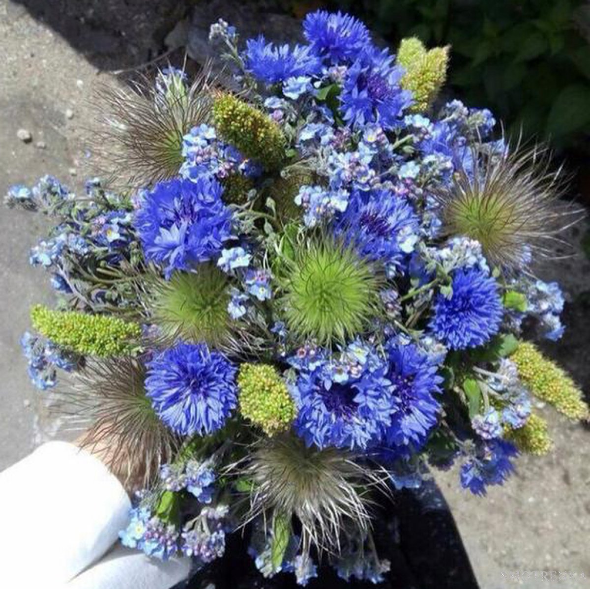 Студия флористики и декора Floral Studio 
