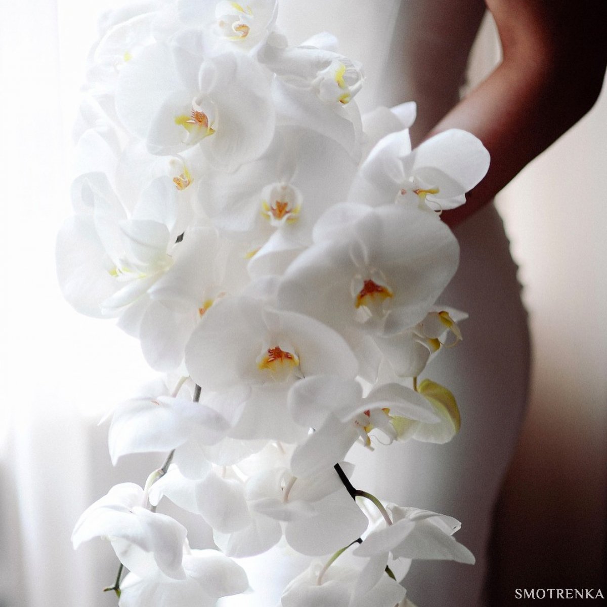 Студия флористики и декора Floral Studio 