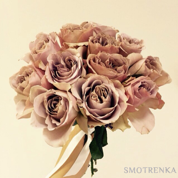 PionDecor