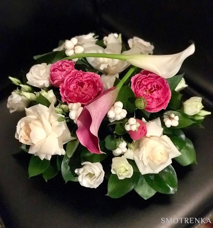 PionDecor