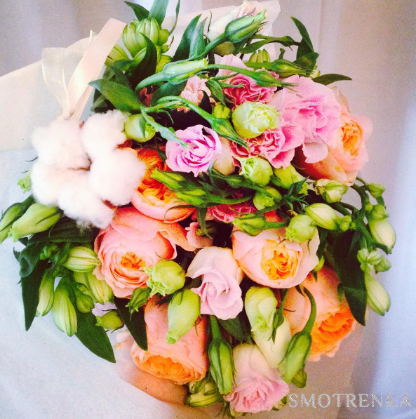 PionDecor