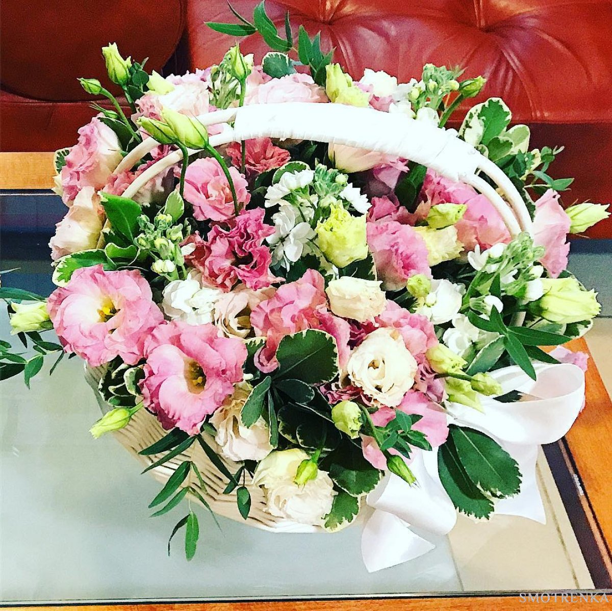 PionDecor