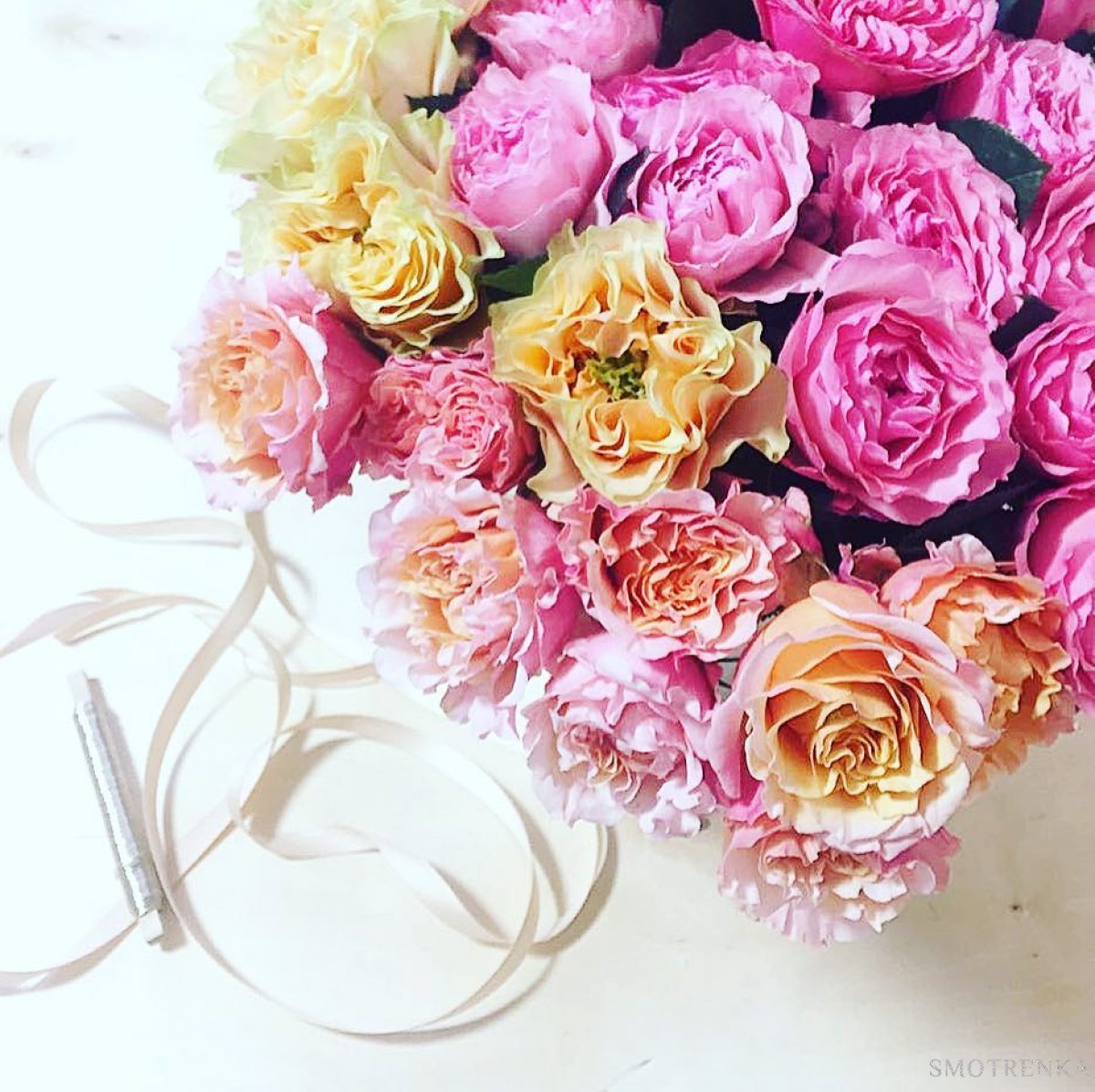 PionDecor