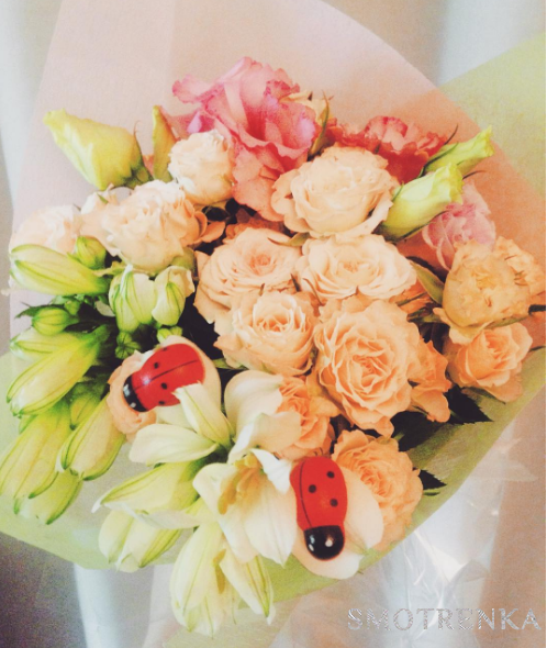 PionDecor