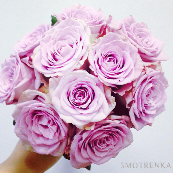 PionDecor