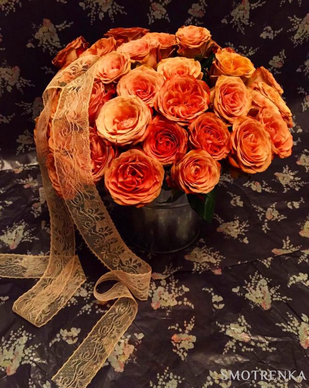 PionDecor