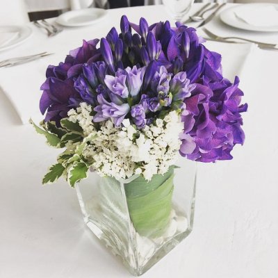 PionDecor