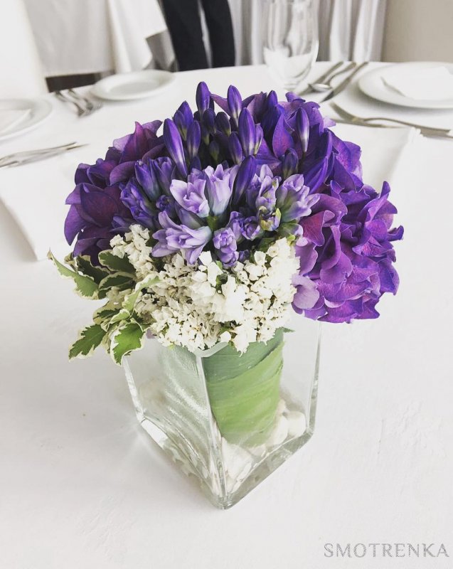 PionDecor