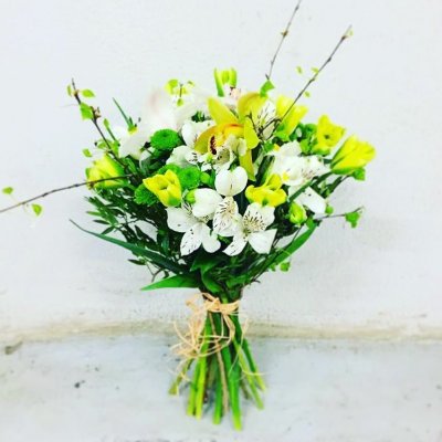 PionDecor