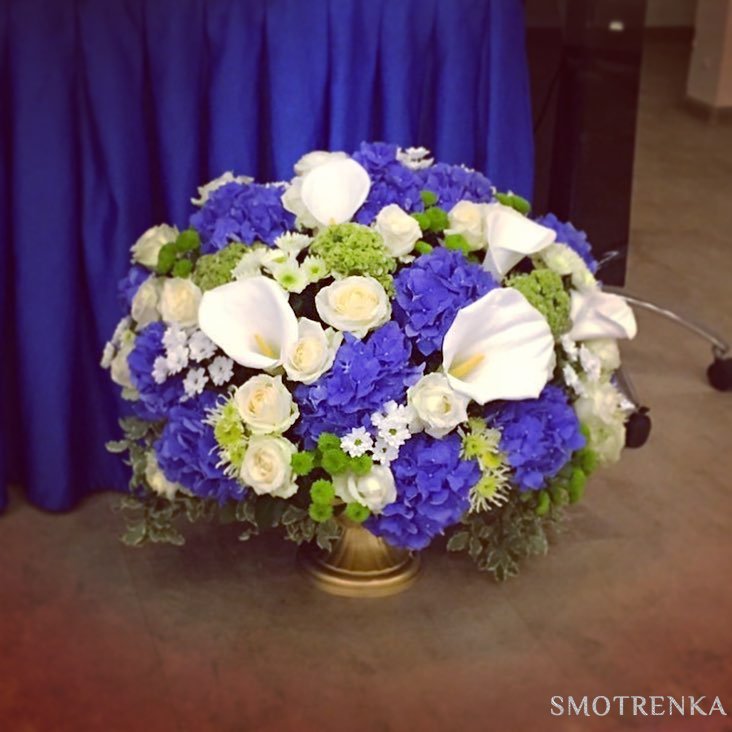 PionDecor