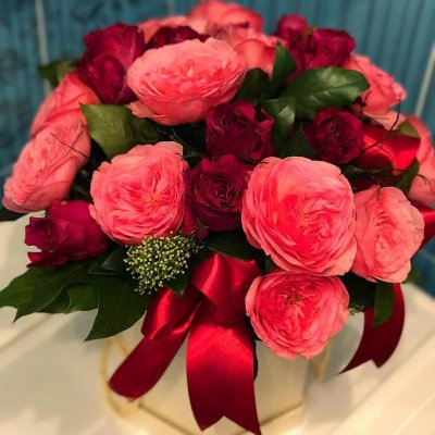 PionDecor