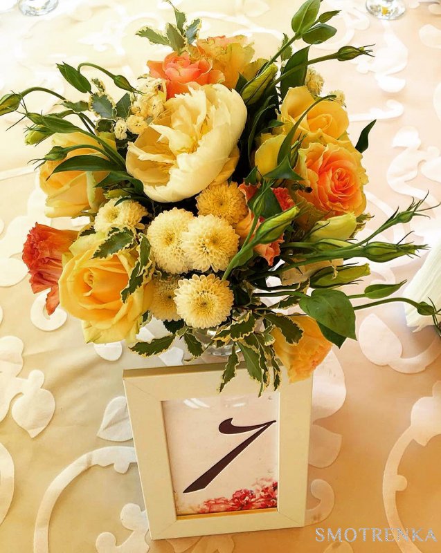 PionDecor
