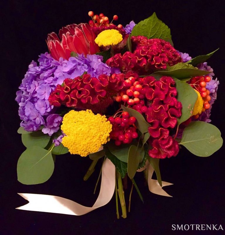 PionDecor