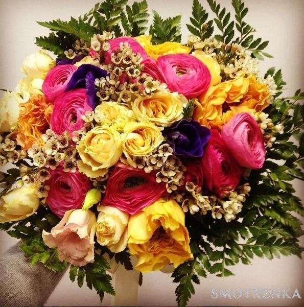 PionDecor