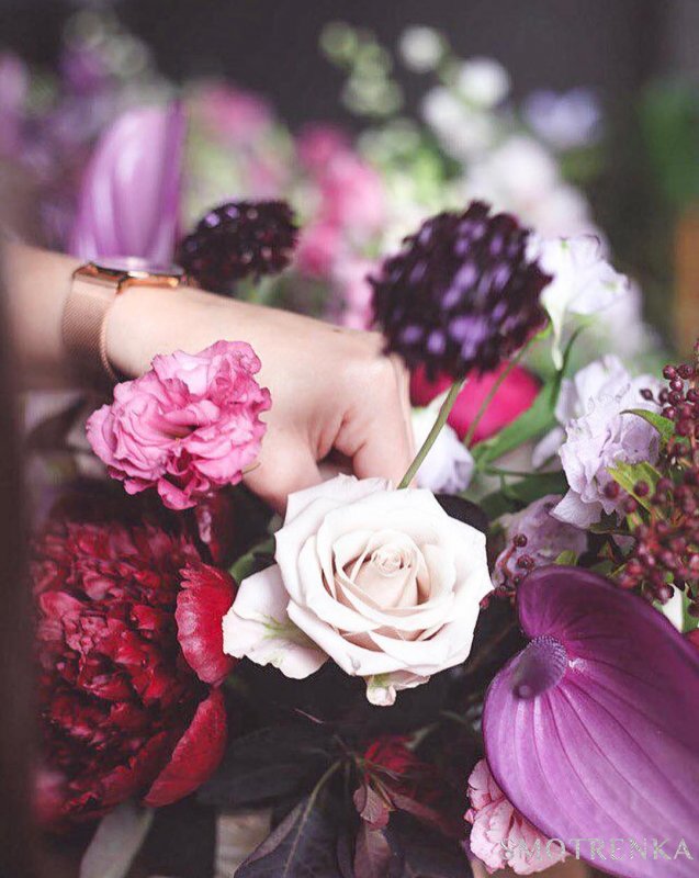Kleo Flowers студия флористики и декора