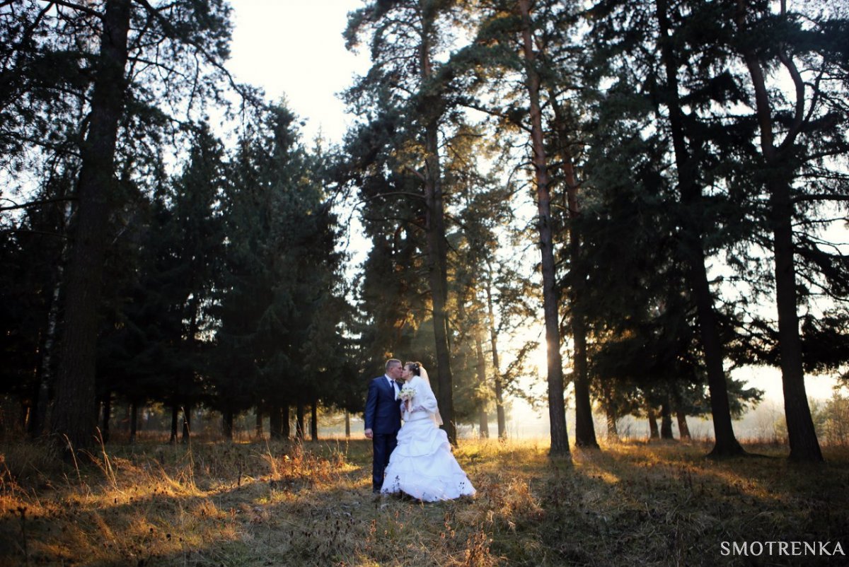 PJ Films