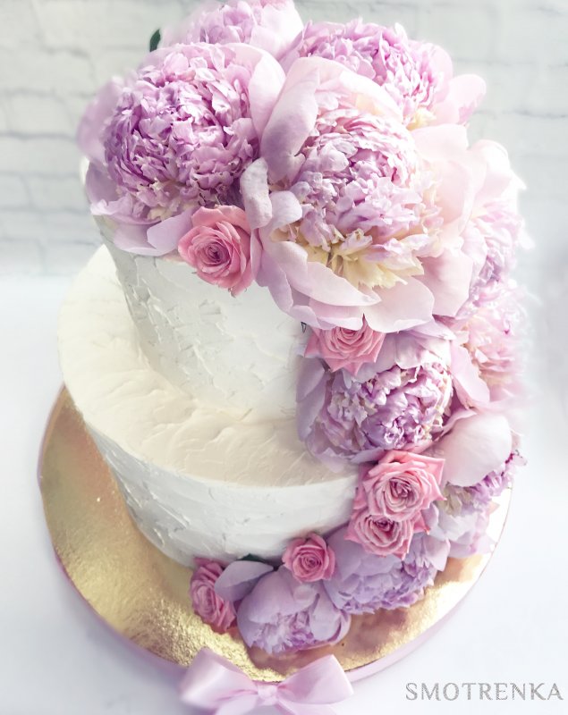 GebiCakes