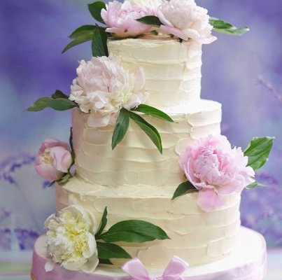GebiCakes