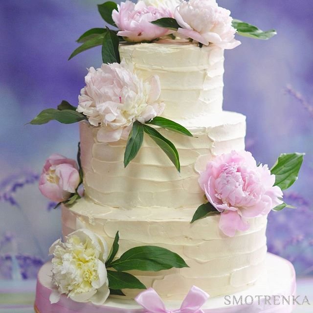 GebiCakes