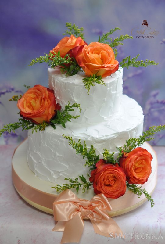GebiCakes