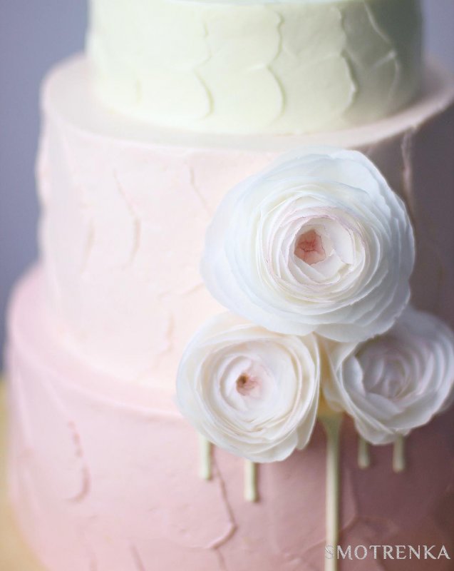 DavLoveCakes