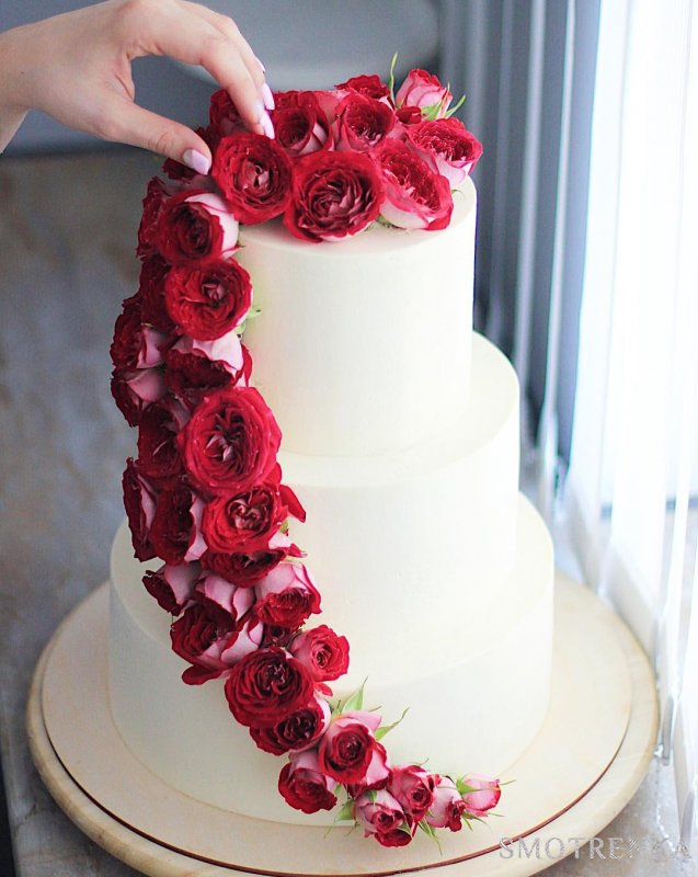 DavLoveCakes